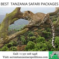 Across Tanzania Expeditions image 2